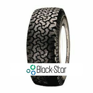 https://www.pezzi-auto.com/wp-content/uploads/A0002/pneumaticileader/blackstar-globetrotter-2-107474.jpg